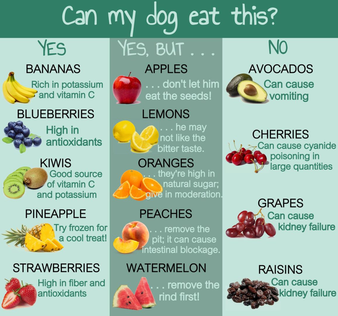 WHAT DOGS CAN EAT