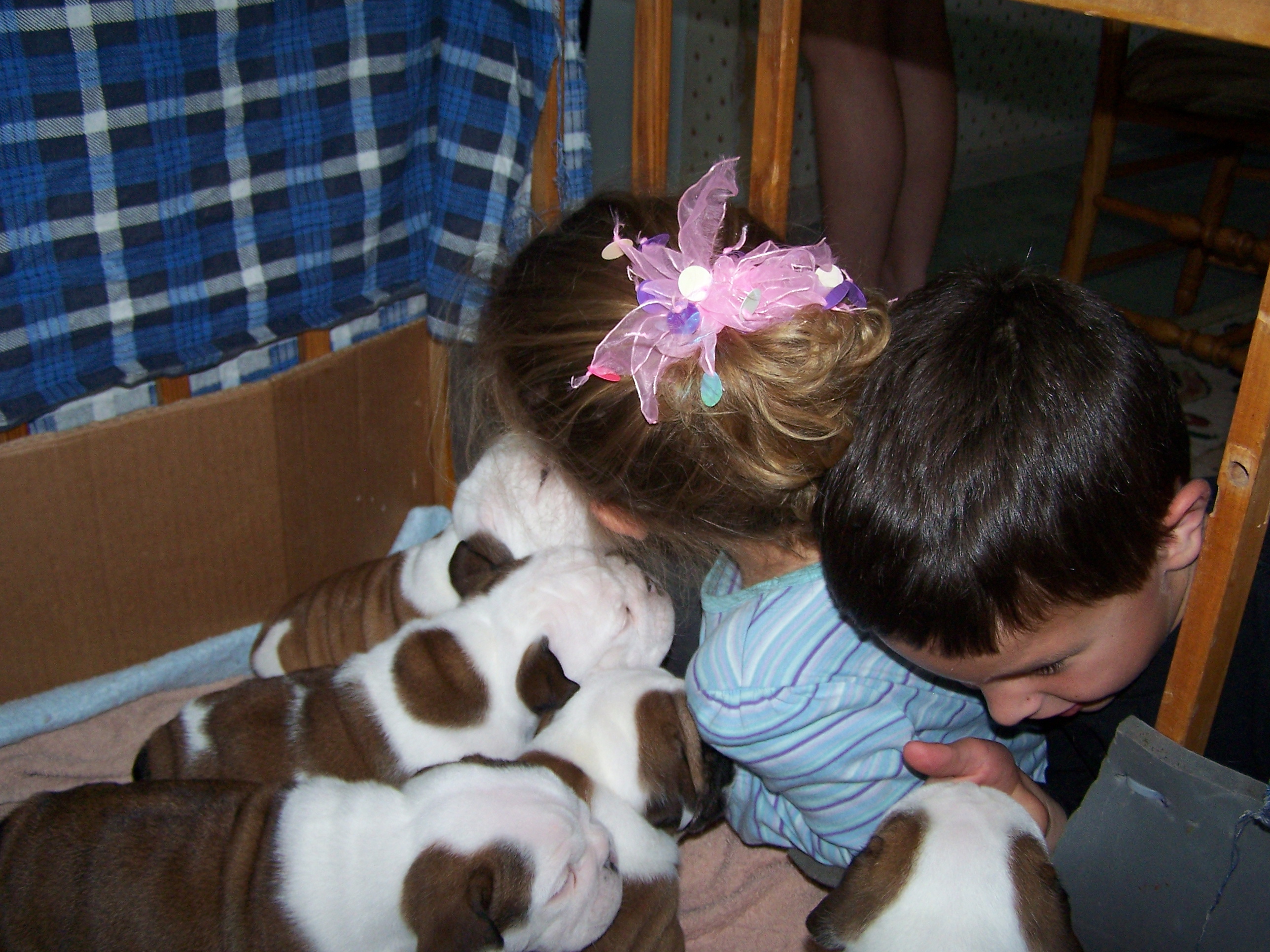 Children With Puppies